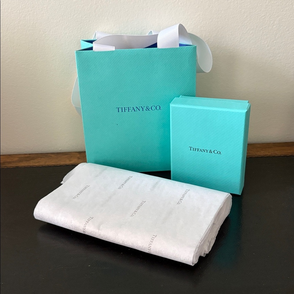 Small Tiffany Gift Box and Bag w Tissue